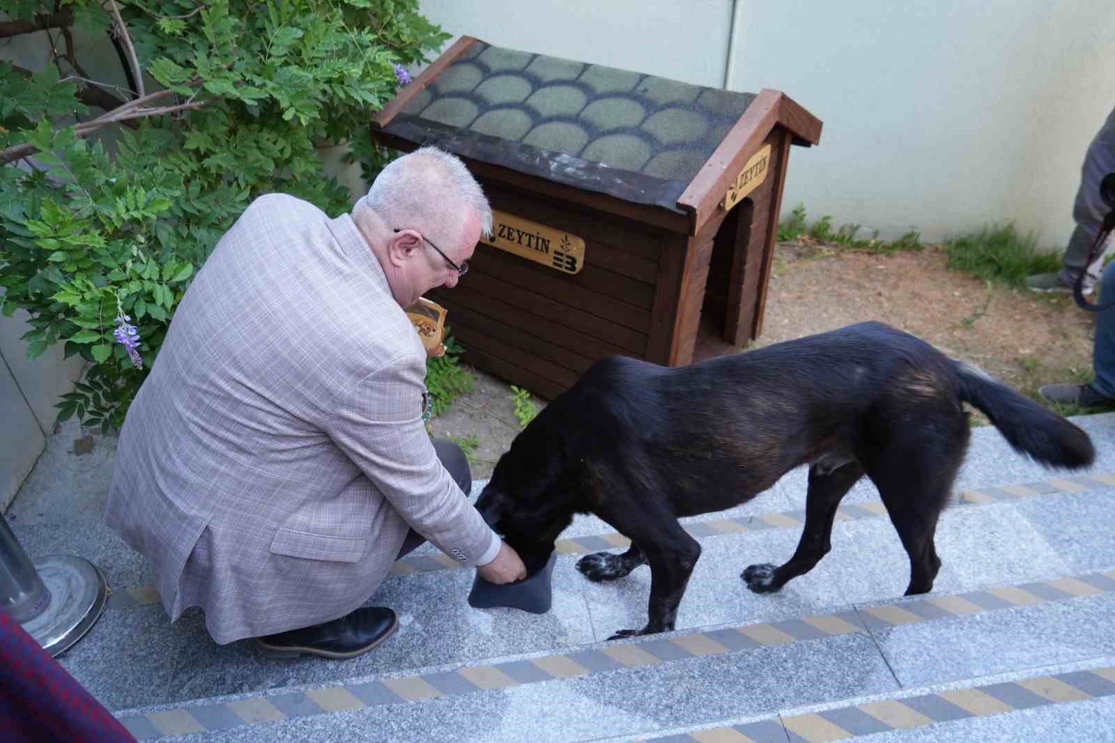 Edremit Belediye Başkanı Ertaş sahipsiz köpeği sahiplendi
