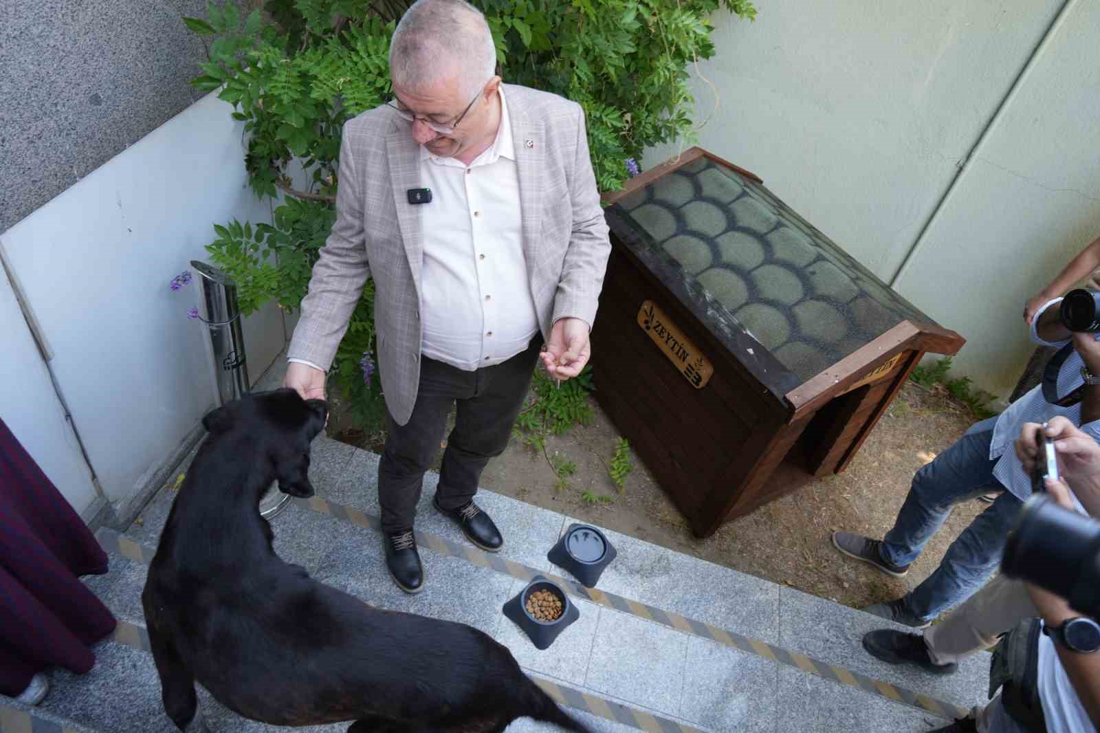 Edremit Belediye Başkanı Ertaş sahipsiz köpeği sahiplendi
