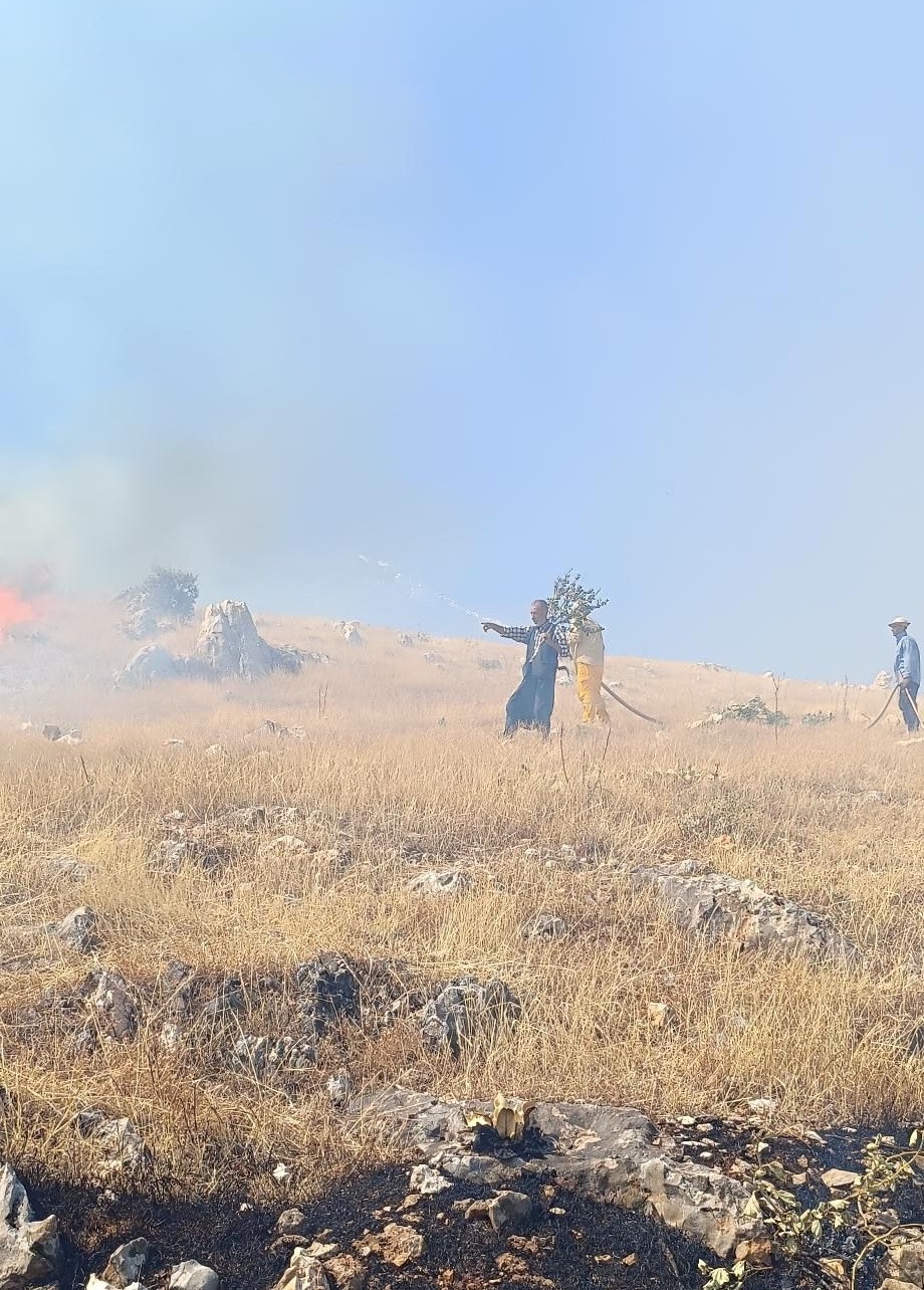 Ormanlık alanda çıkan örtü yangını ahıra sıçradı
