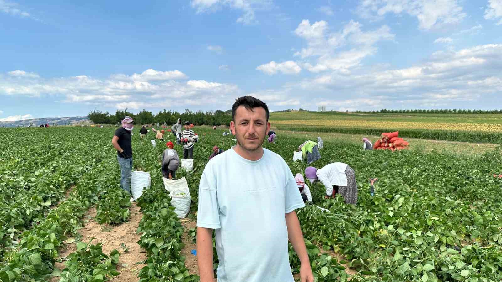 Fasulye fiyatları üreticiyi zor duruma soktu
