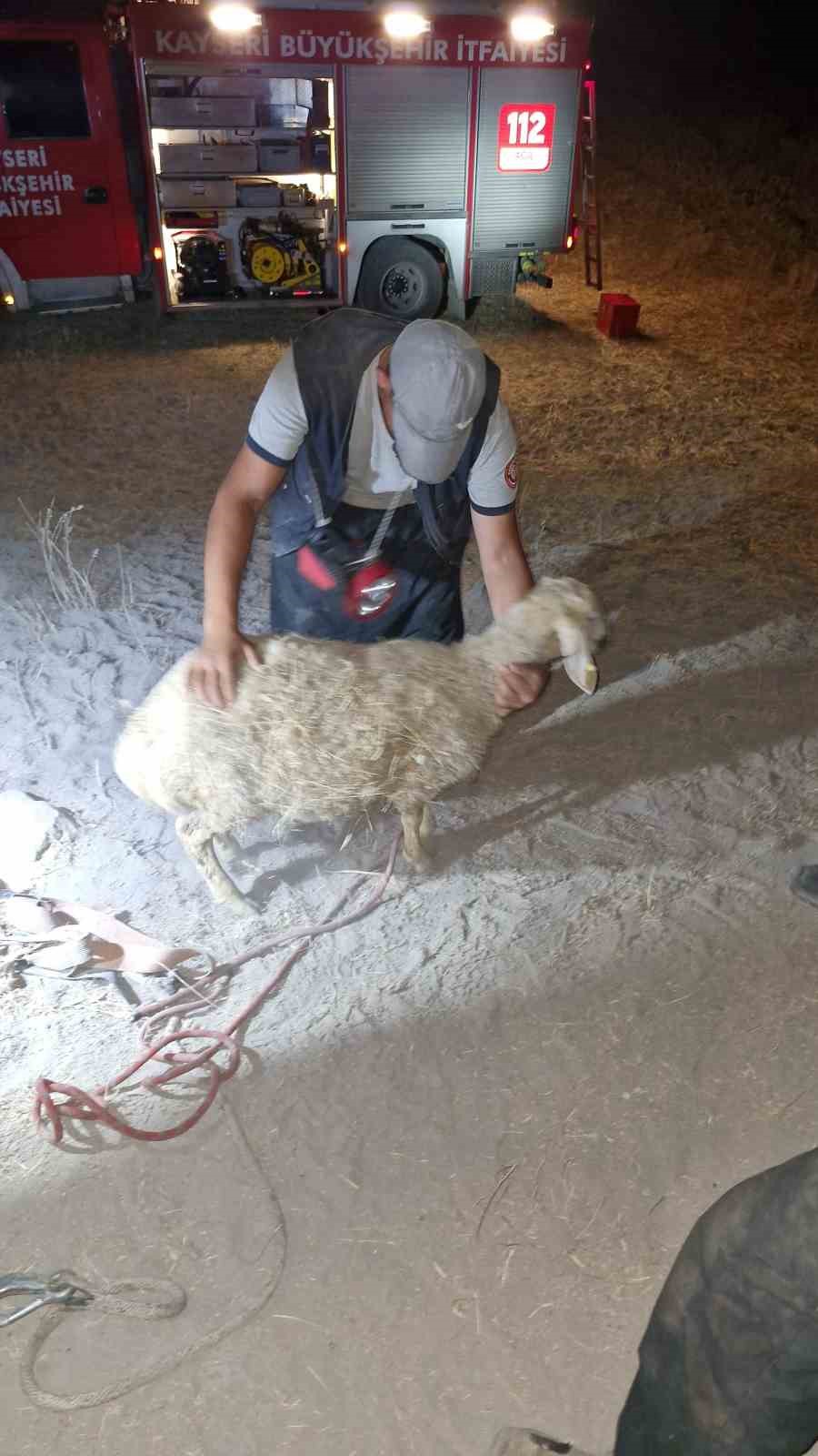 30 metrelik kuyuya düşen koyunu itfaiye kurtardı
