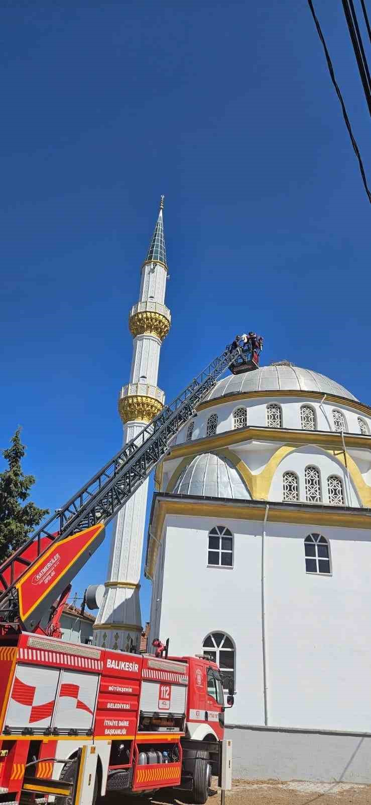 Balıkesir Büyükşehir, yaralı leyleği kurtardı
