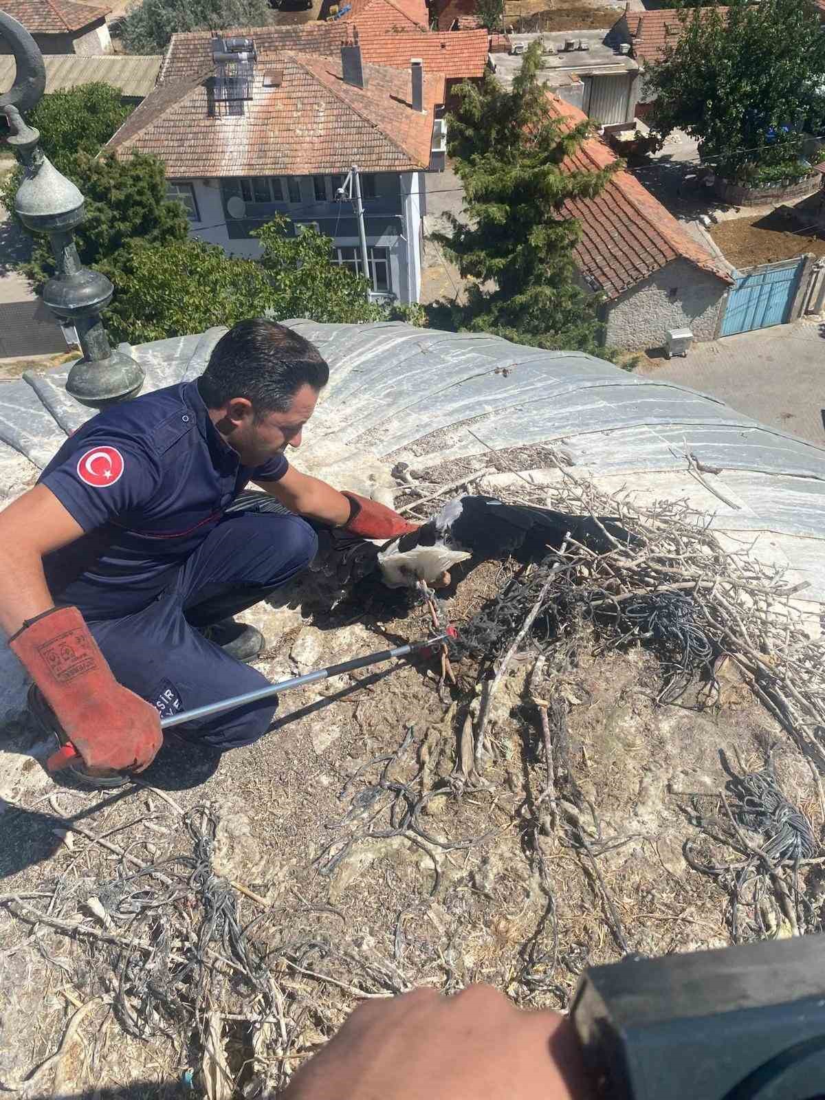 Balıkesir Büyükşehir, yaralı leyleği kurtardı
