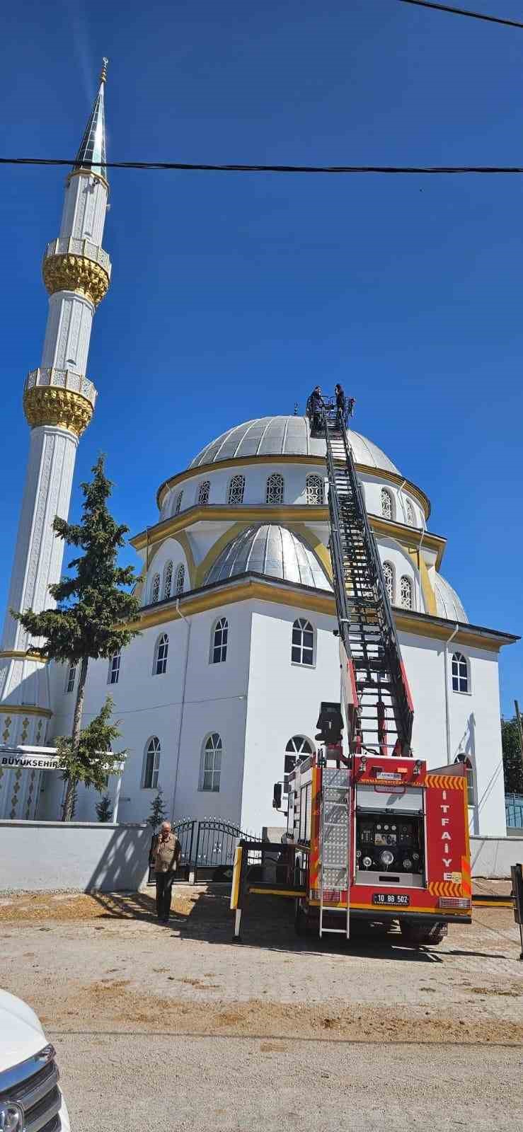 Balıkesir Büyükşehir, yaralı leyleği kurtardı
