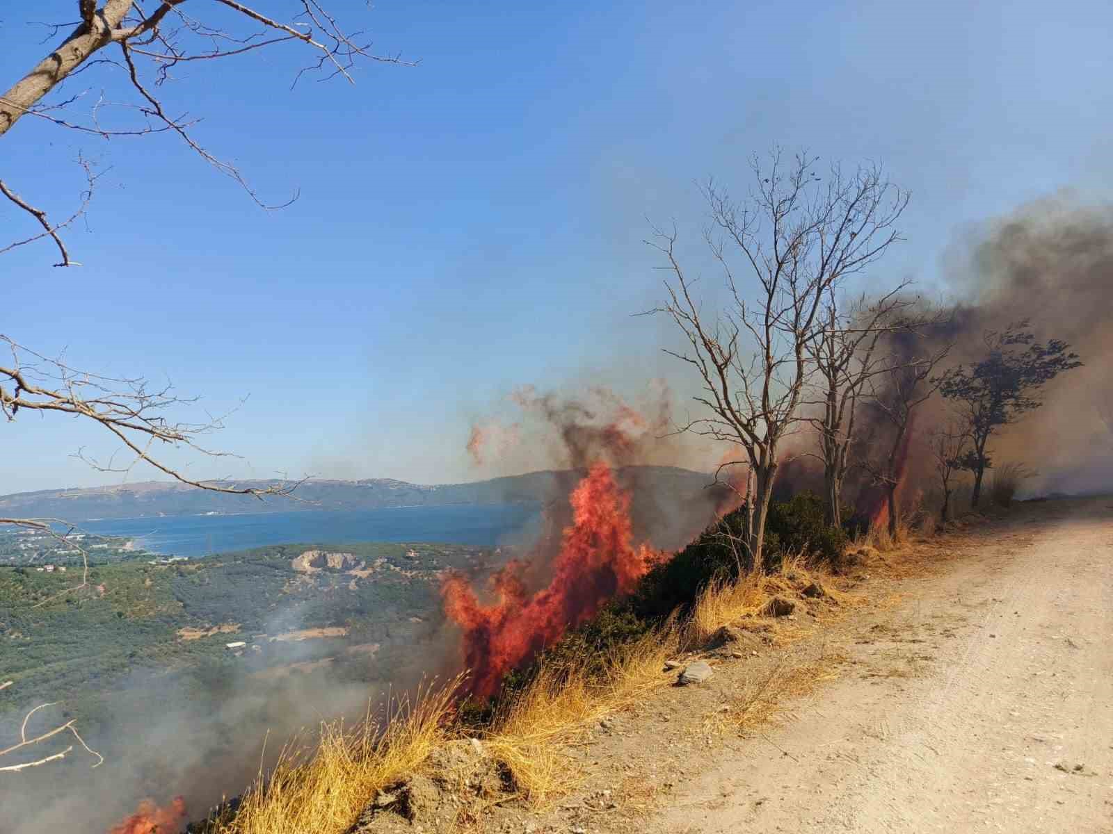 Erdek’teki yangın söndürüldü
