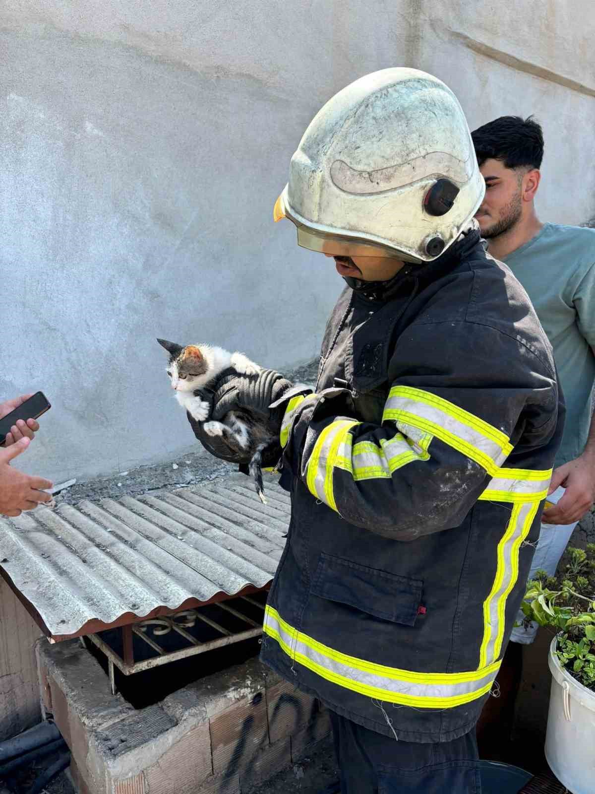 İskenderun’da binanın havalandırma boşluğuna düşen yavru kedi kurtarıldı
