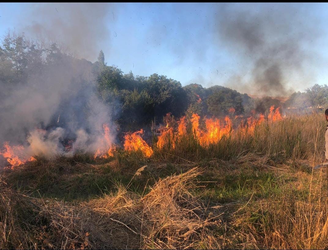 Malatya’da 4 ayrı noktada anız ve orman yangını
