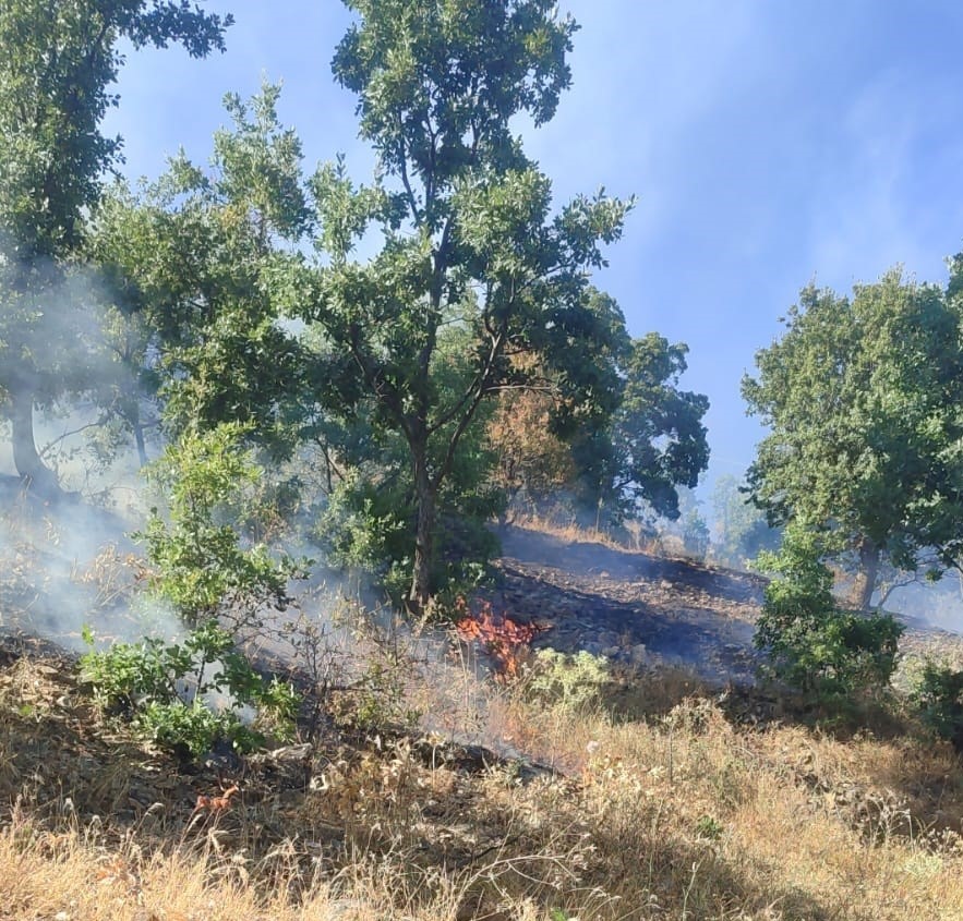 Malatya’da 4 ayrı noktada anız ve orman yangını
