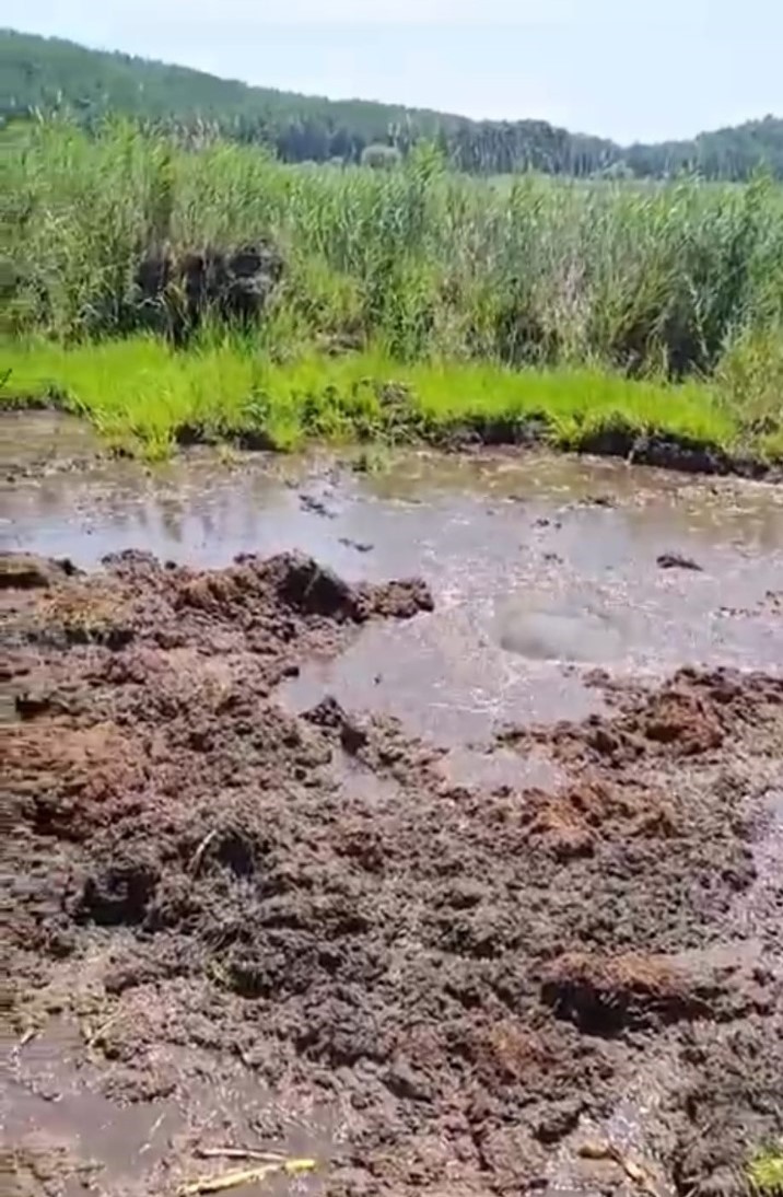 Buldan Yayla Gölünde temizleme çalışmaları esnasında su kaynağı bulundu
