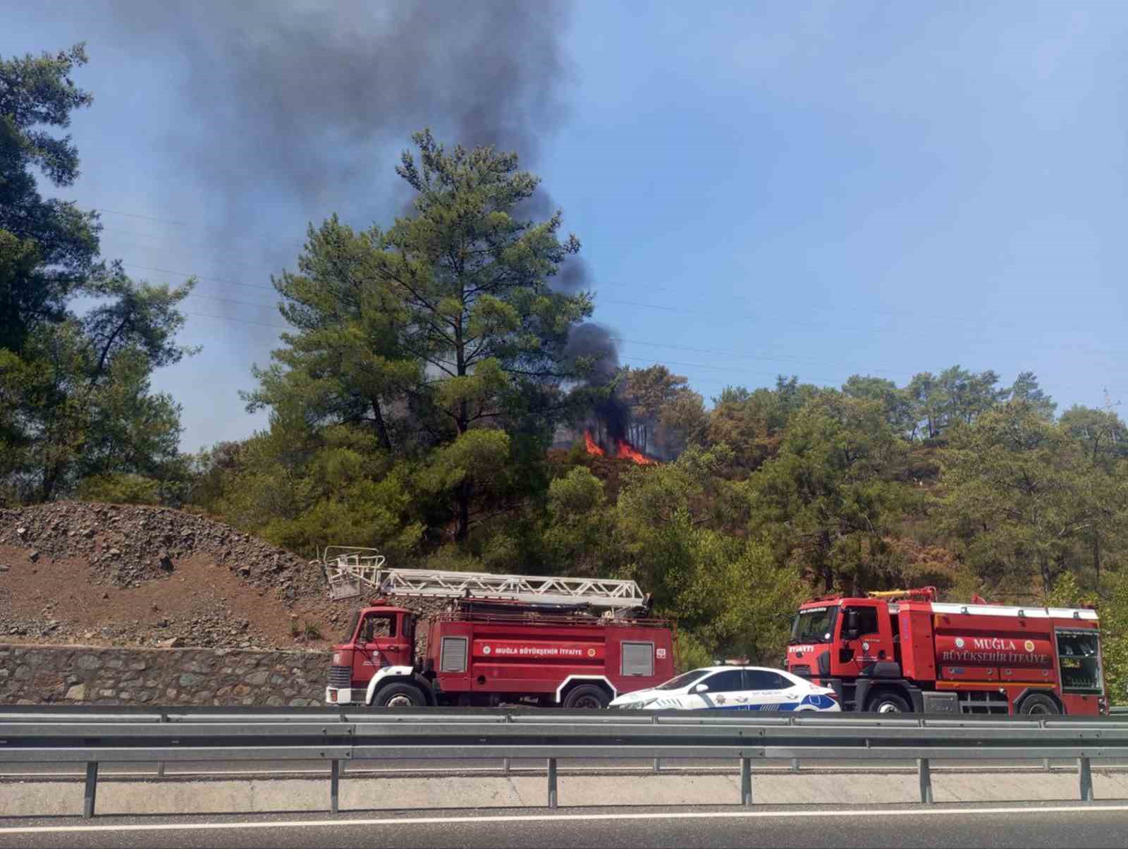 Köyceğiz Orman yangını kısmen kontrol altında
