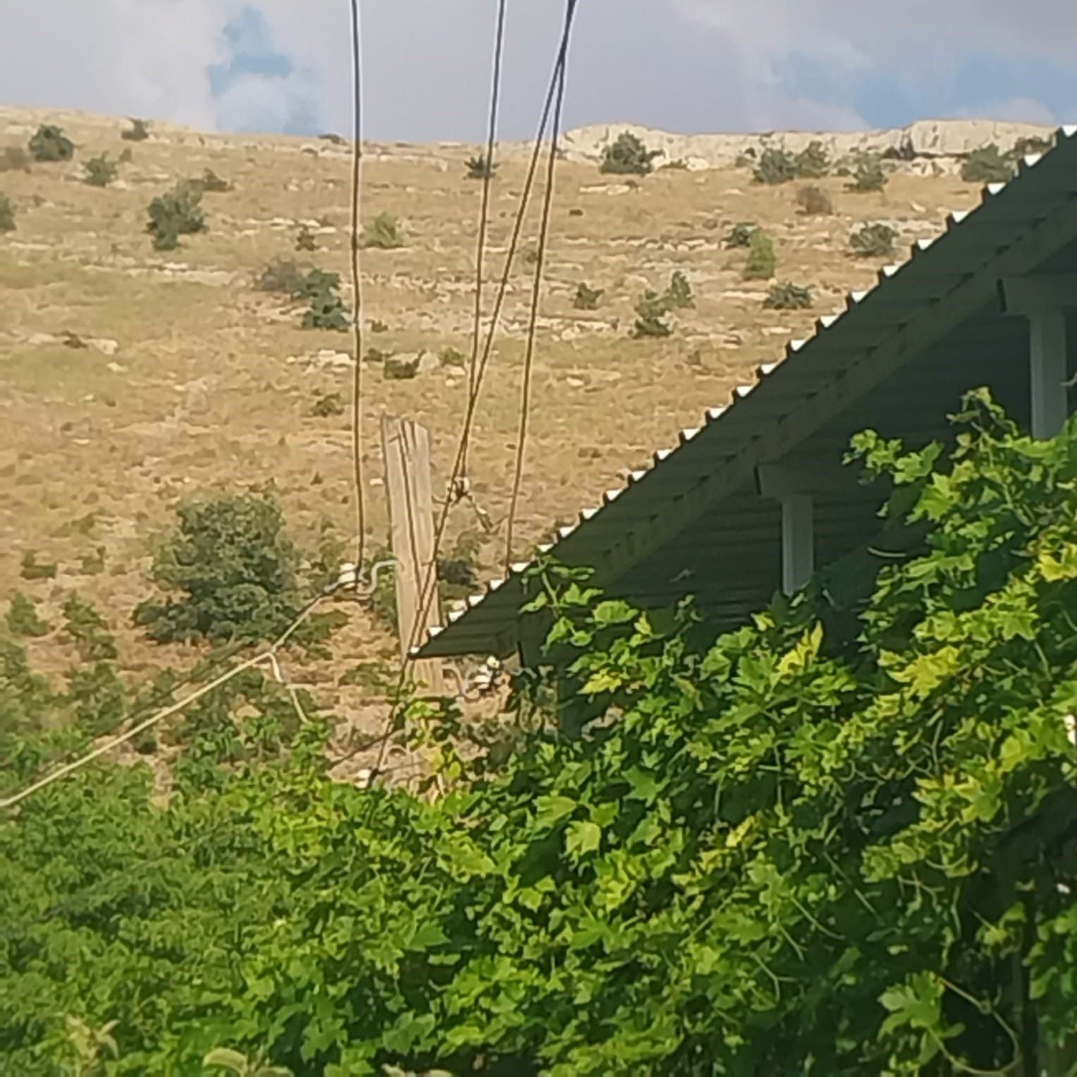 Başvuruya rağmen kaldırılmayan elektrik kabloları 16 yaşındaki Batuhan’ı hayattan kopardı
