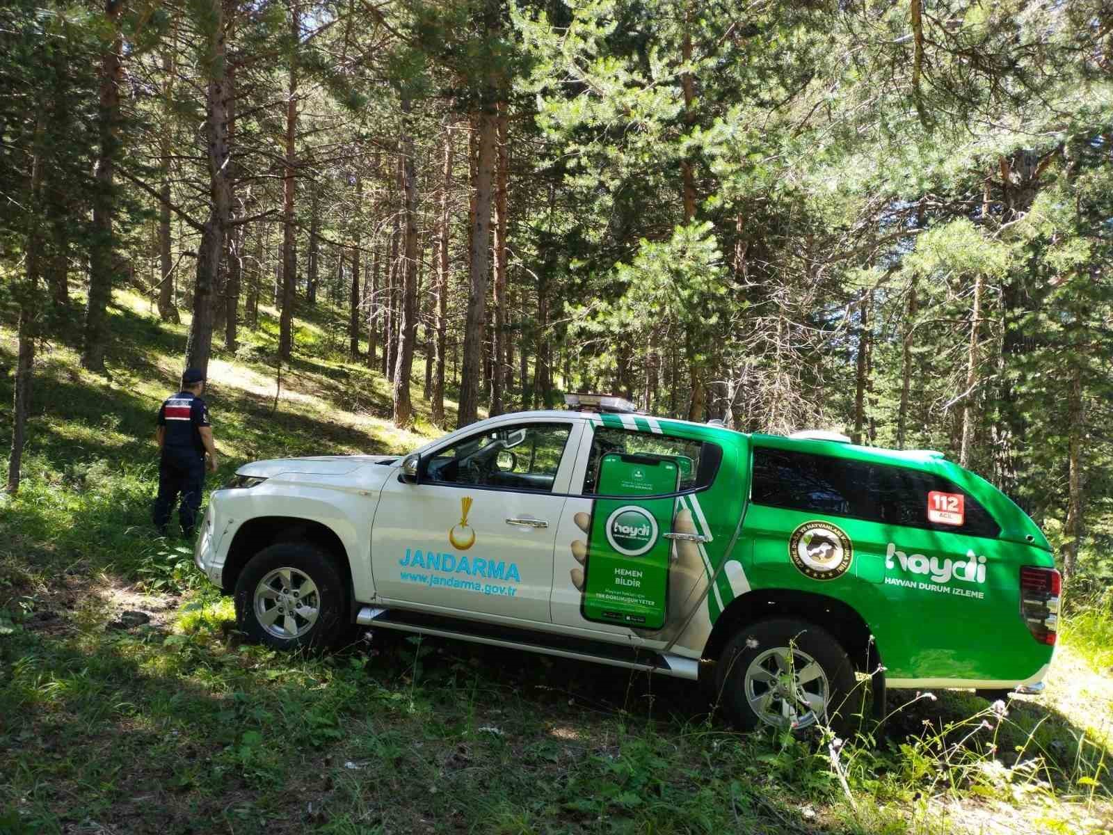 Jandarma ormanları koruyor
