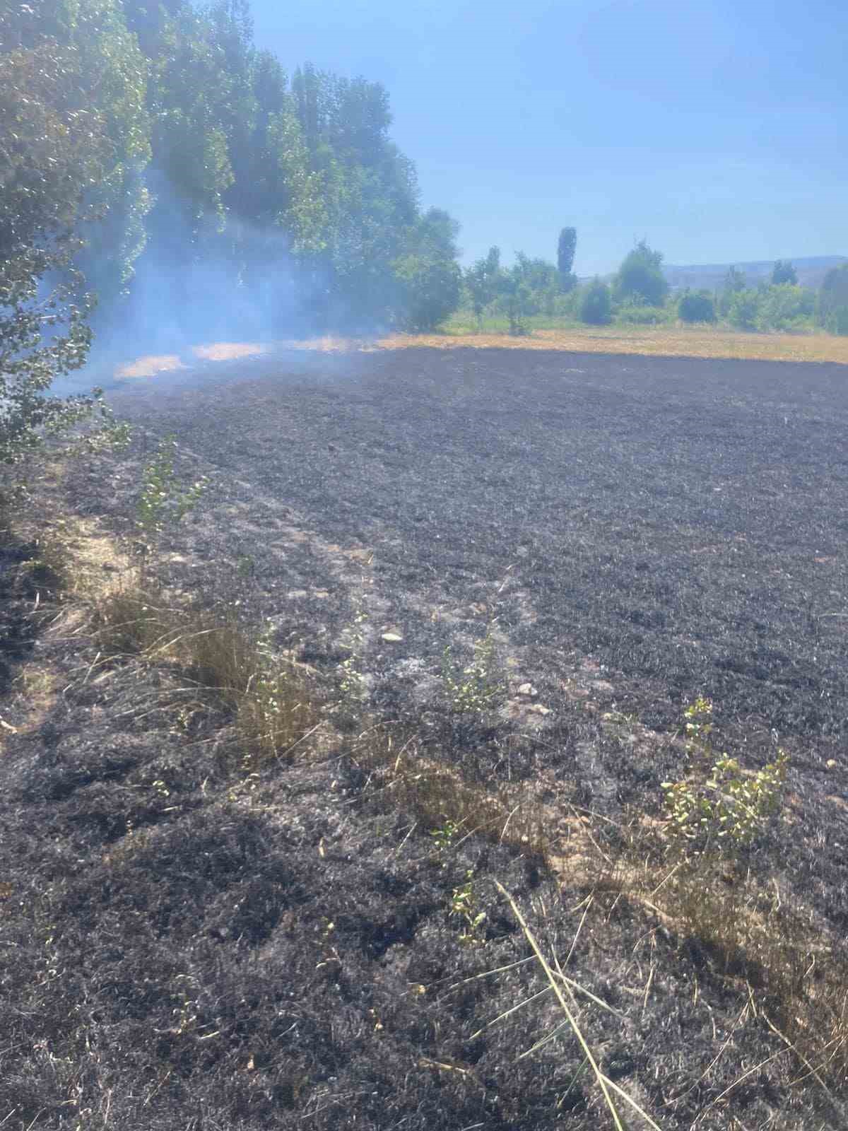 Çankırı’da ot yangını
