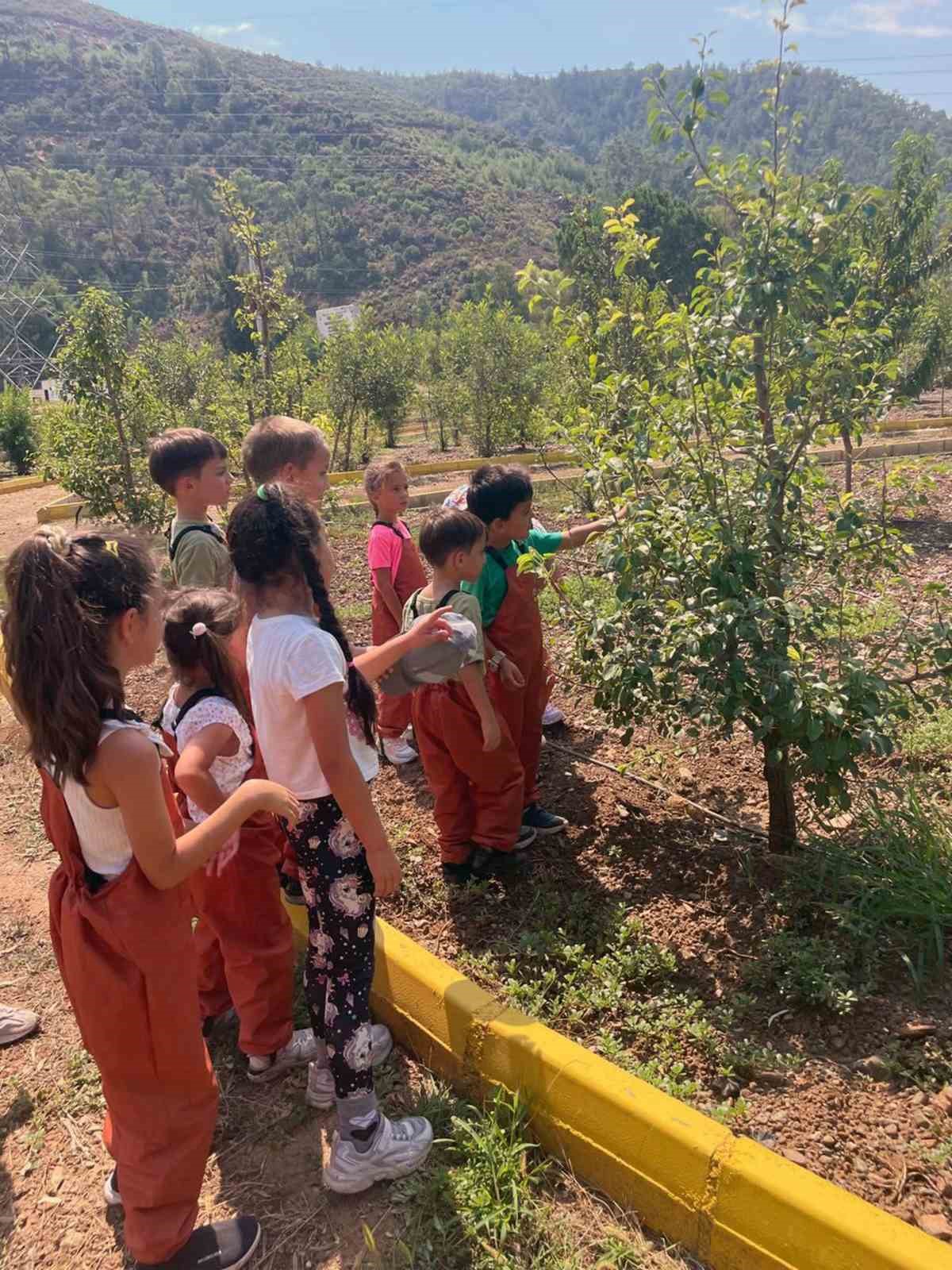 Öğrencilerden Tıbbi Bitkiler Koleksiyon bahçesini Ziyaret
