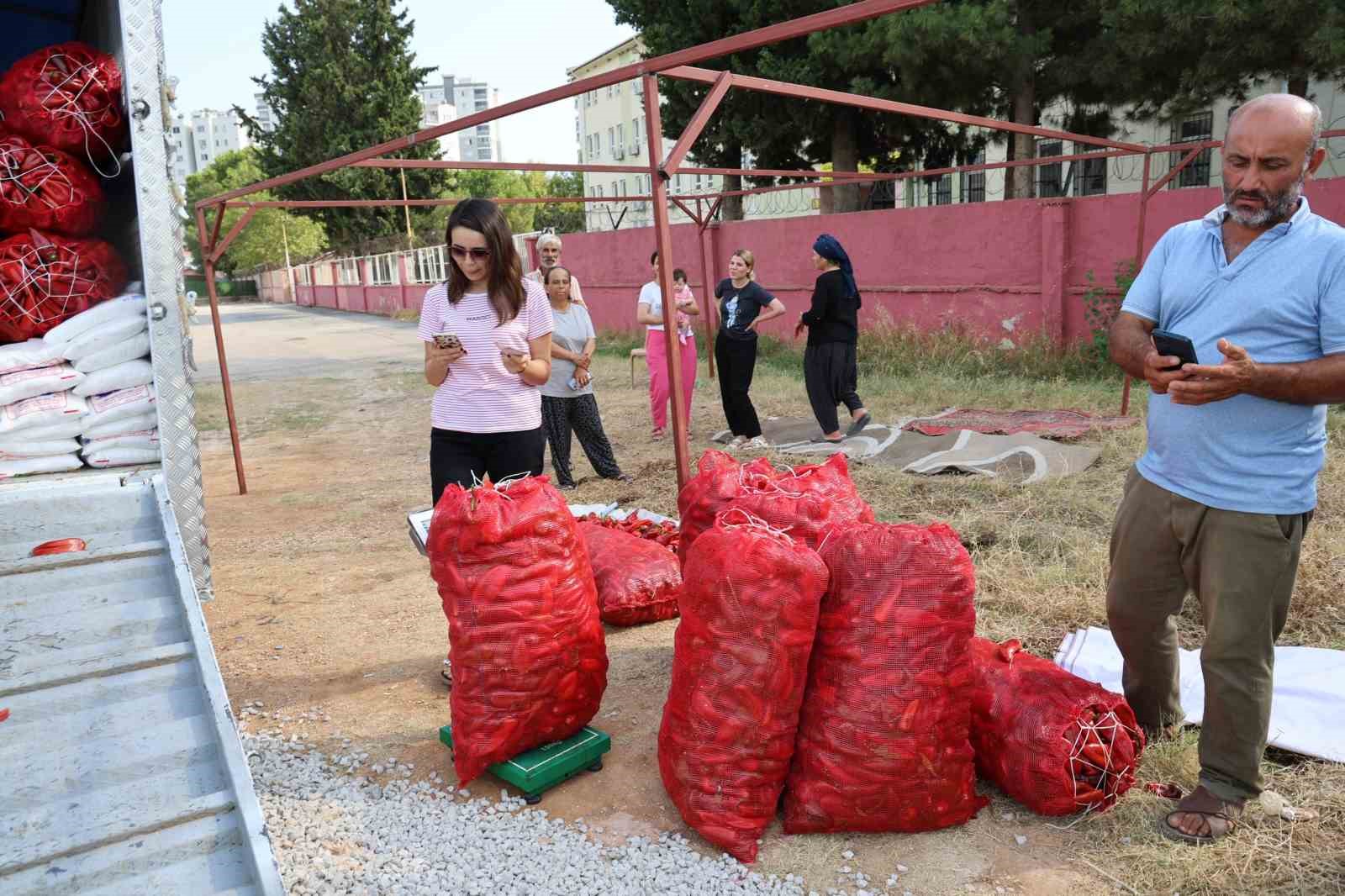 Adana’da salçalık biber telaşı başladı
