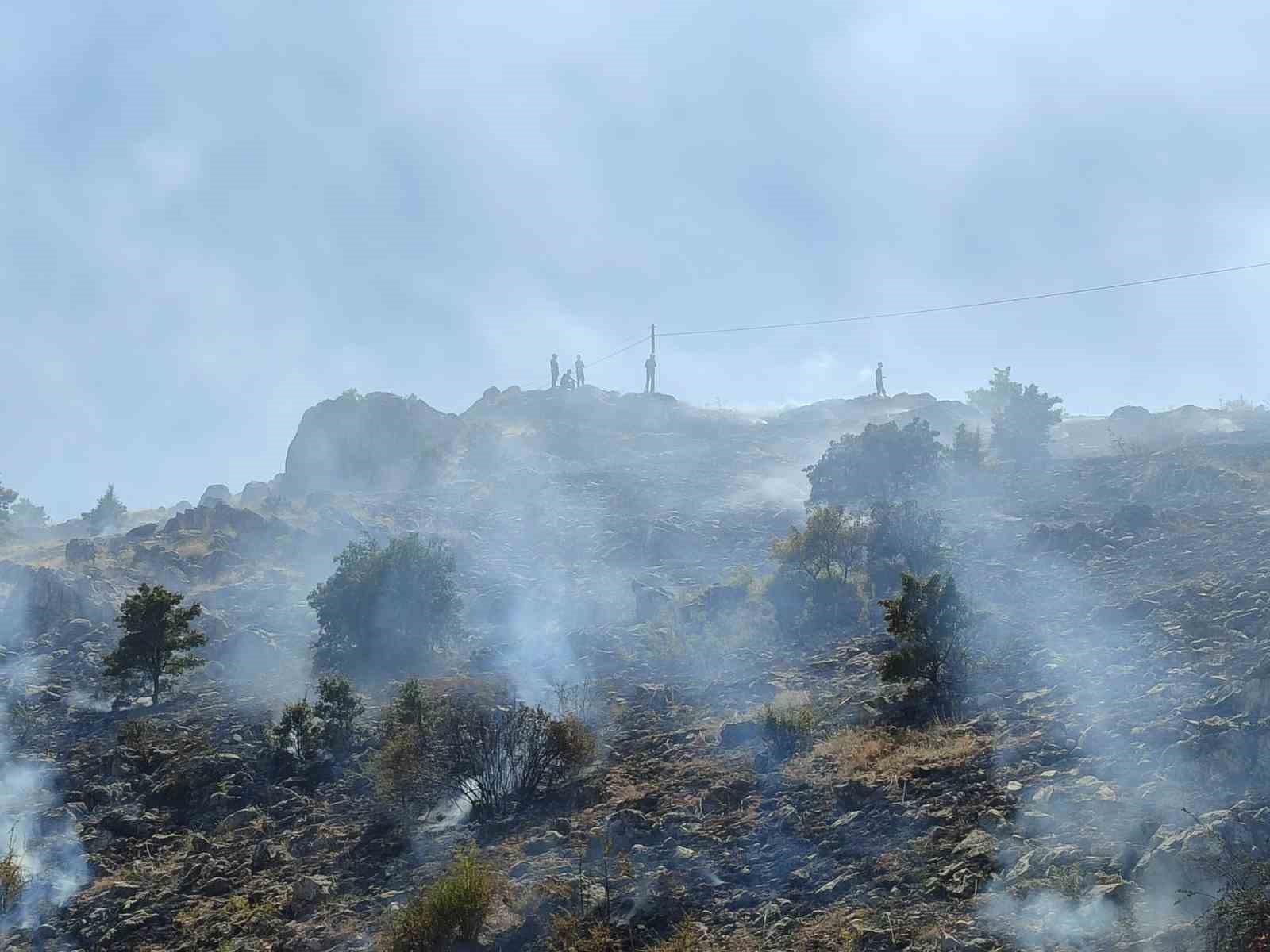 Malatya’da 3 ayrı noktada ot yangını
