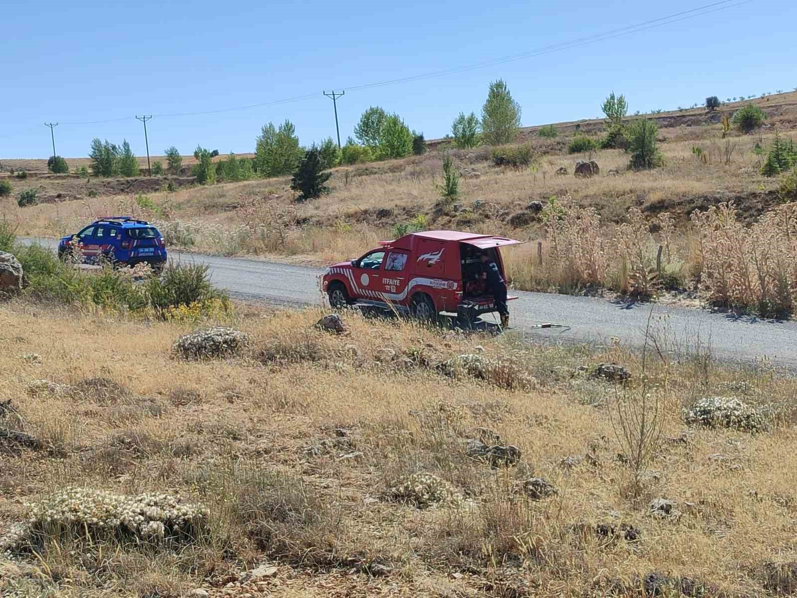 Malatya’da 3 ayrı noktada ot yangını
