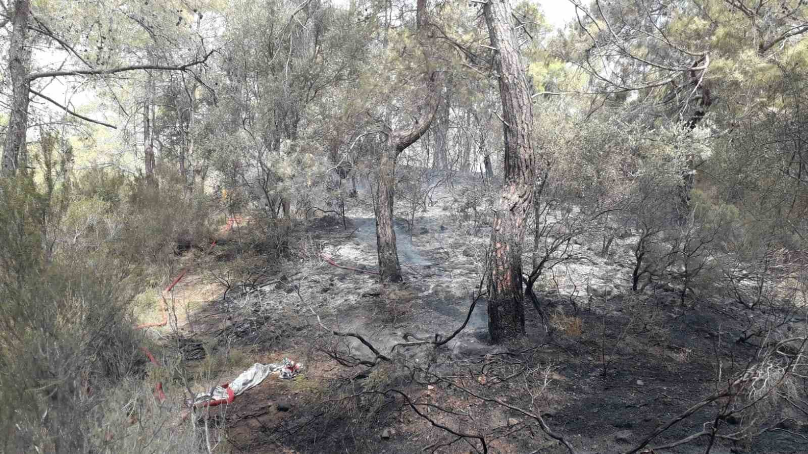 Antalya Kemer’de çıkan orman yangını kontrol altına alındı
