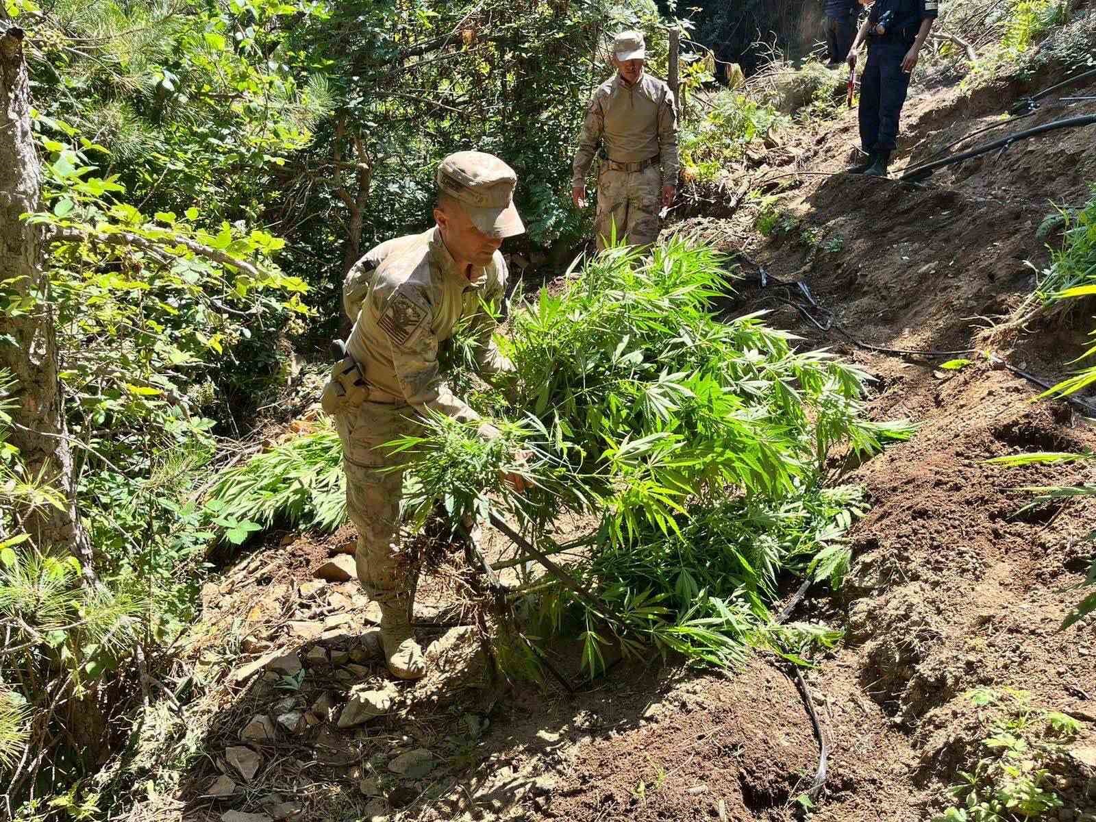 Alaşehir jandarmasından uyuşturucu imalatına darbe
