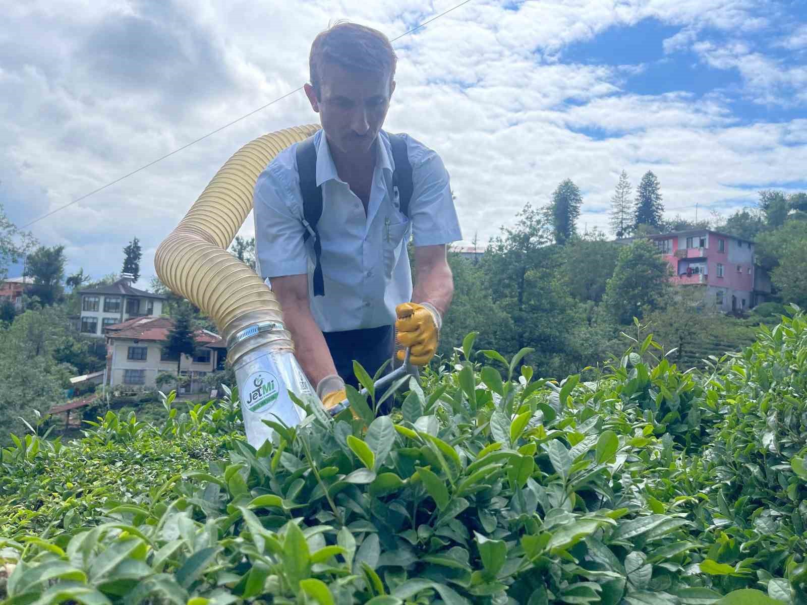 Çay toplamayı kolaylaştıran Rizeli şimdi de kesilen çayları taşıma sorununu çözdü
