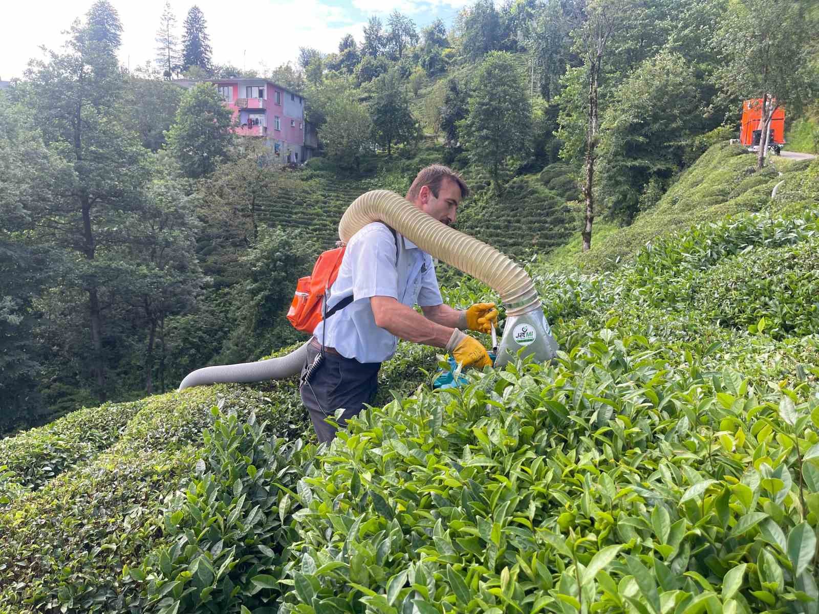 Çay toplamayı kolaylaştıran Rizeli şimdi de kesilen çayları taşıma sorununu çözdü
