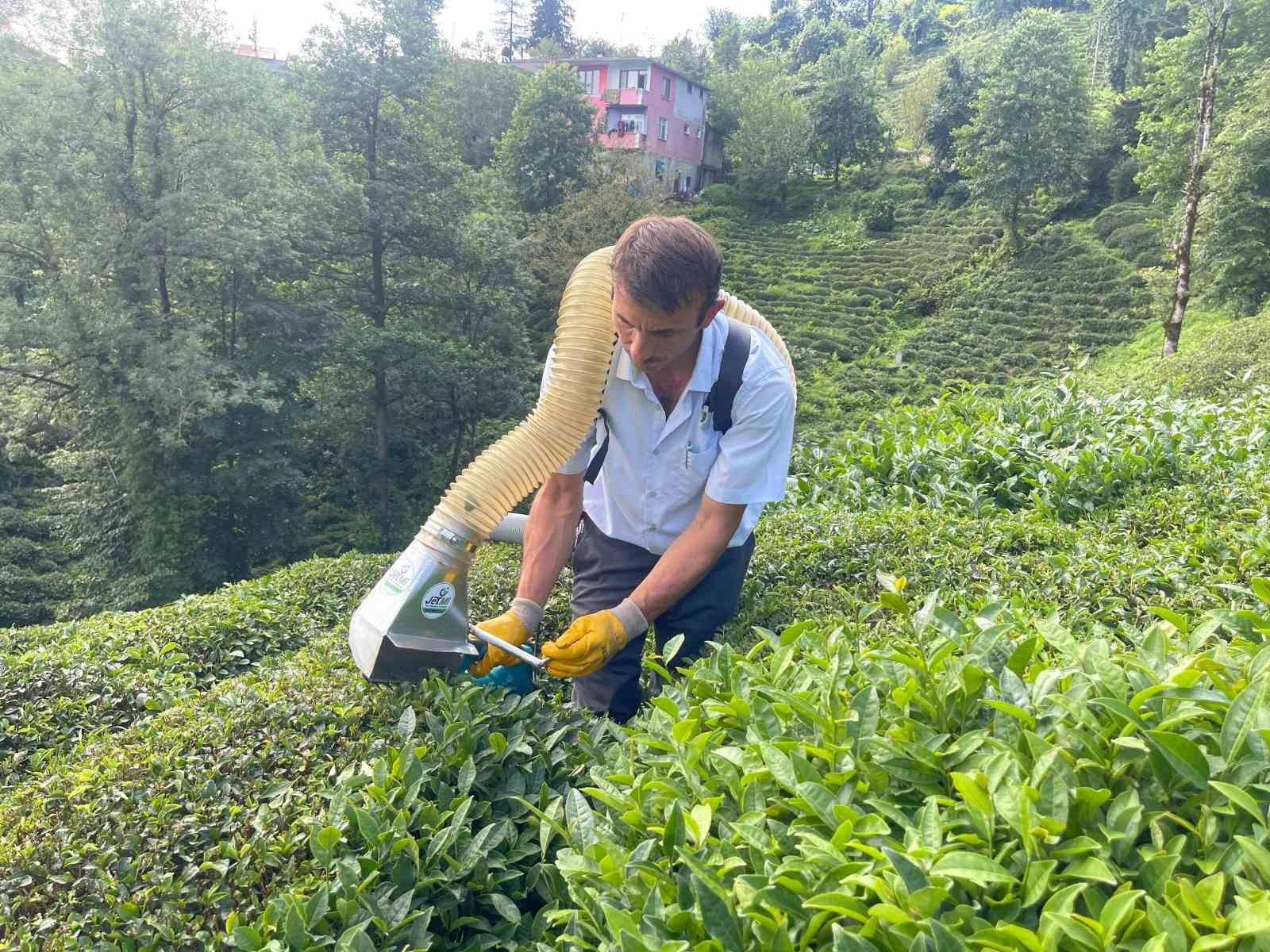 Çay toplamayı kolaylaştıran Rizeli şimdi de kesilen çayları taşıma sorununu çözdü
