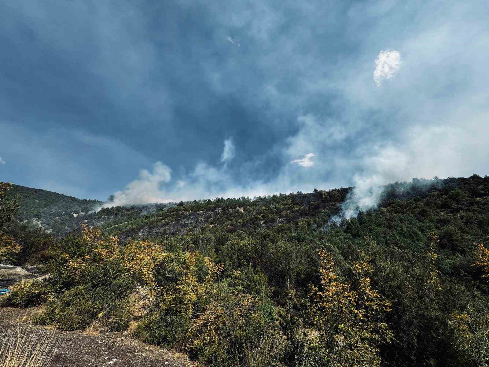 Tokat’ta orman yangını büyümeden söndürüldü
