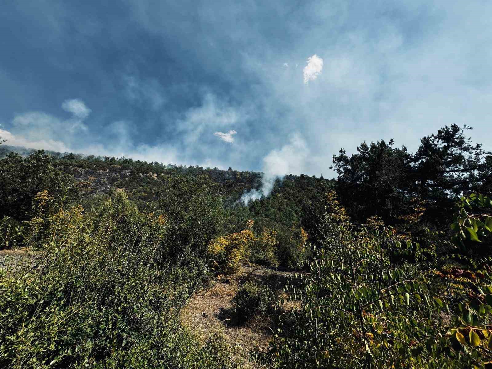 Tokat’ta orman yangını büyümeden söndürüldü
