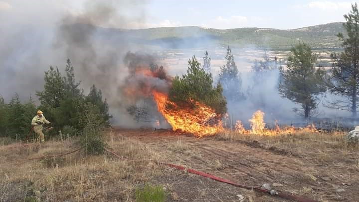 Makilik alanda çıkan yangın kontrol altına alındı
