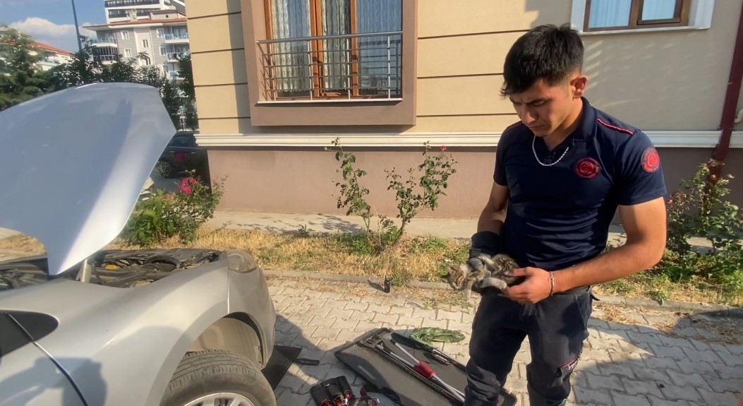 Otomobilin motoruna giren yavru kedi kurtarıldı
