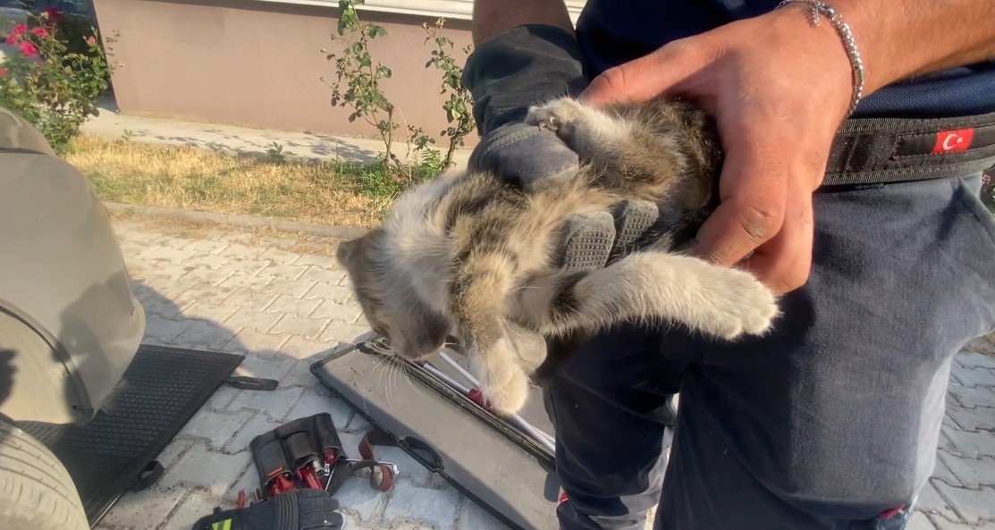 Otomobilin motoruna giren yavru kedi kurtarıldı
