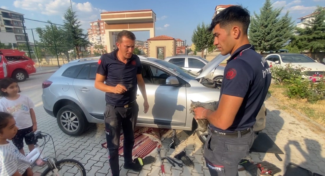 Otomobilin motoruna giren yavru kedi kurtarıldı
