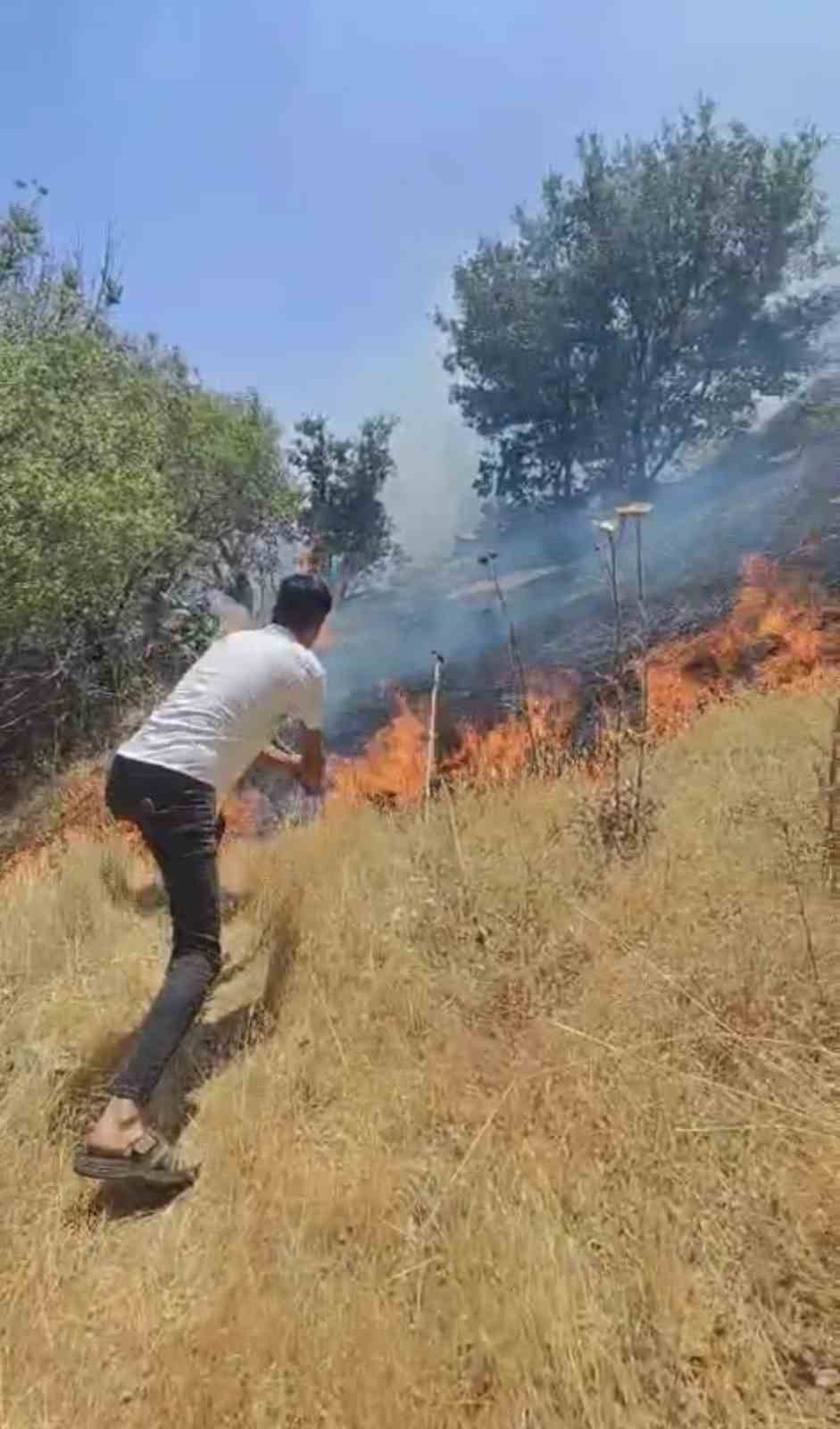 Diyarbakır’da ormanlık alanda çıkan örtü yangını söndürüldü
