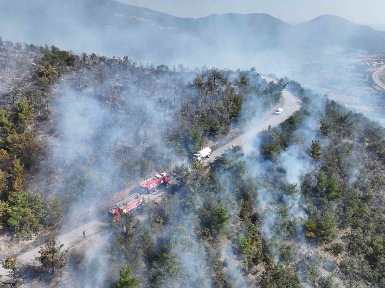 Başkan Ural, 