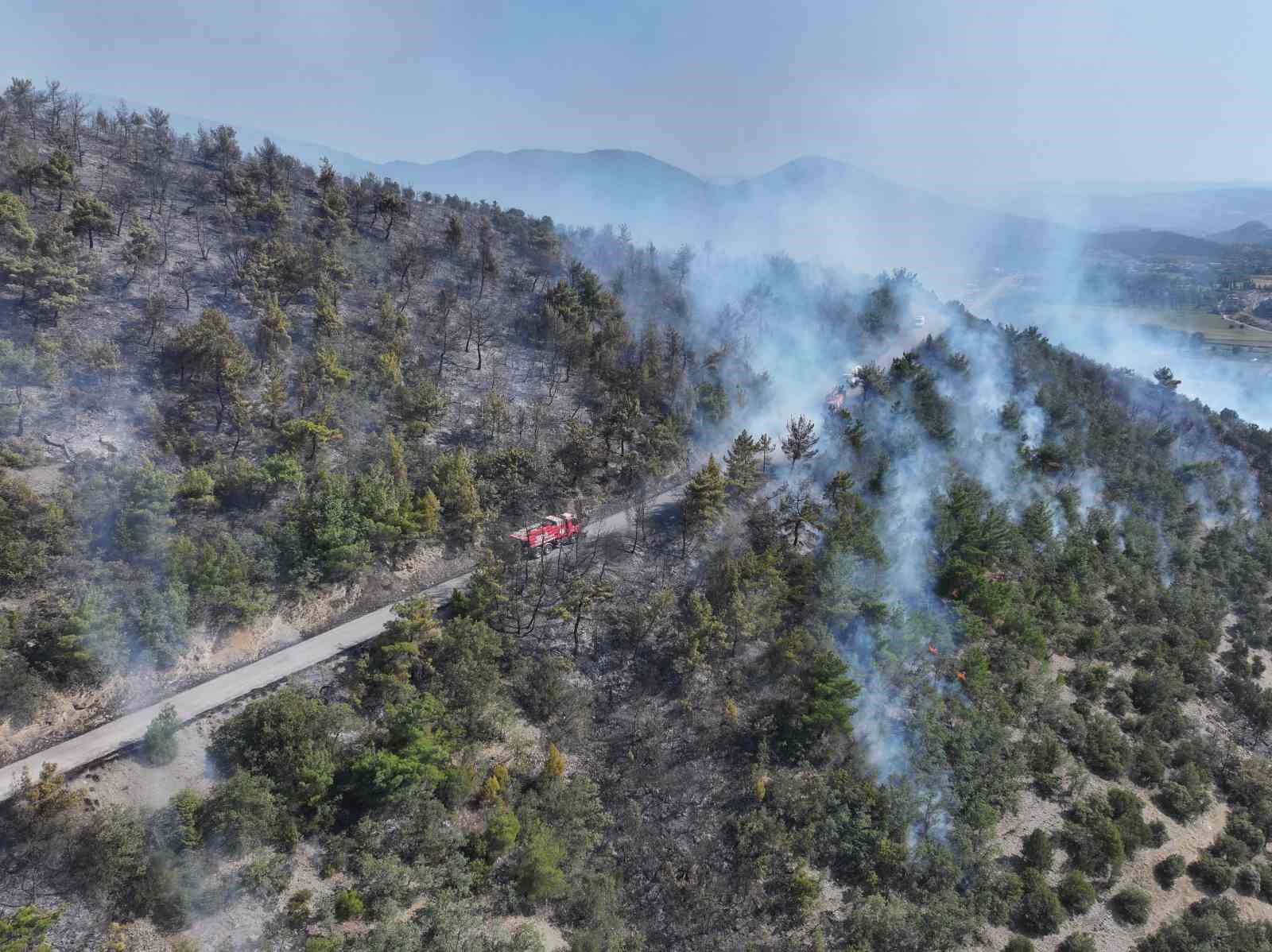 Başkan Ural, 