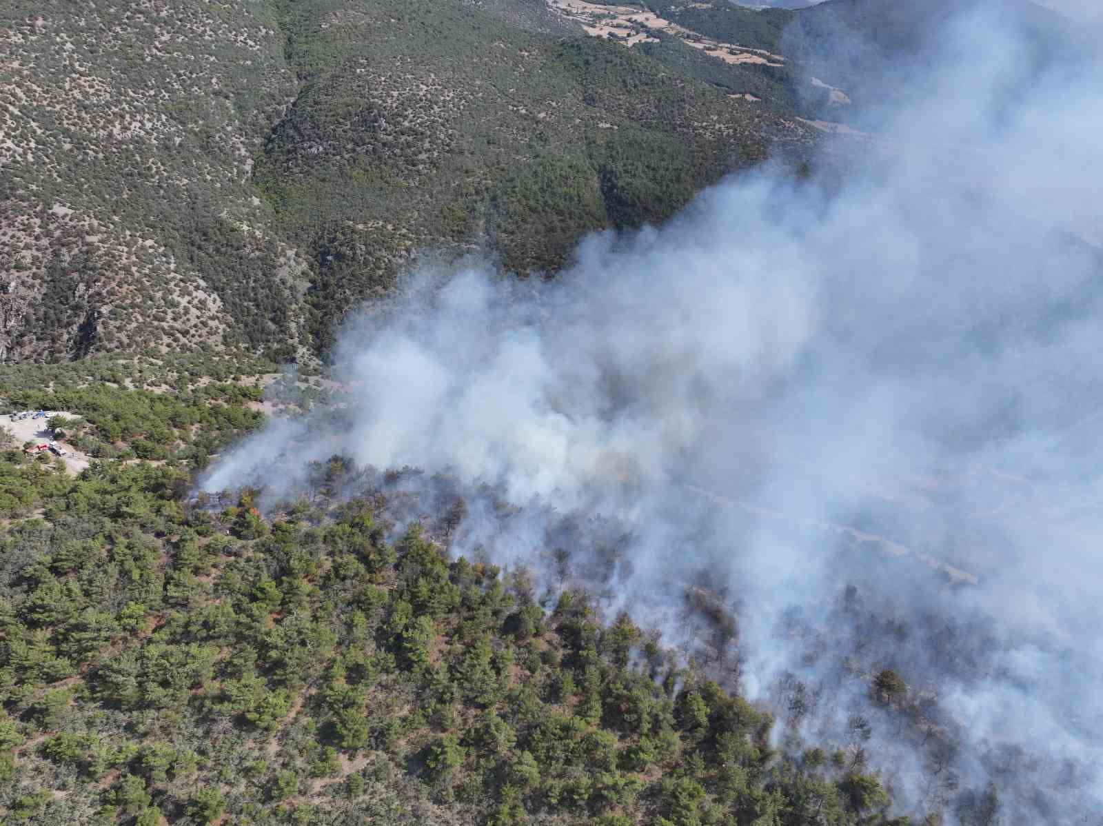 Başkan Ural, 