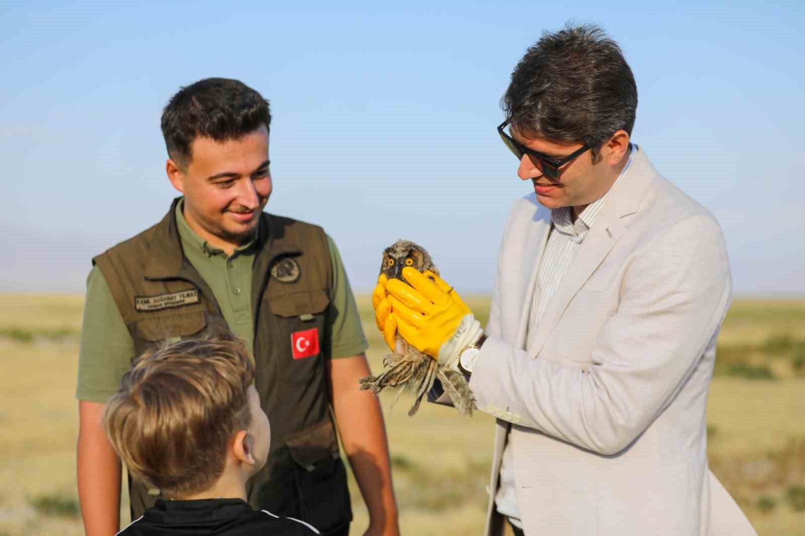 Van’da tedavi edilen kuşlar Erciş’teki doğal yaşam alanlarına bırakıldı
