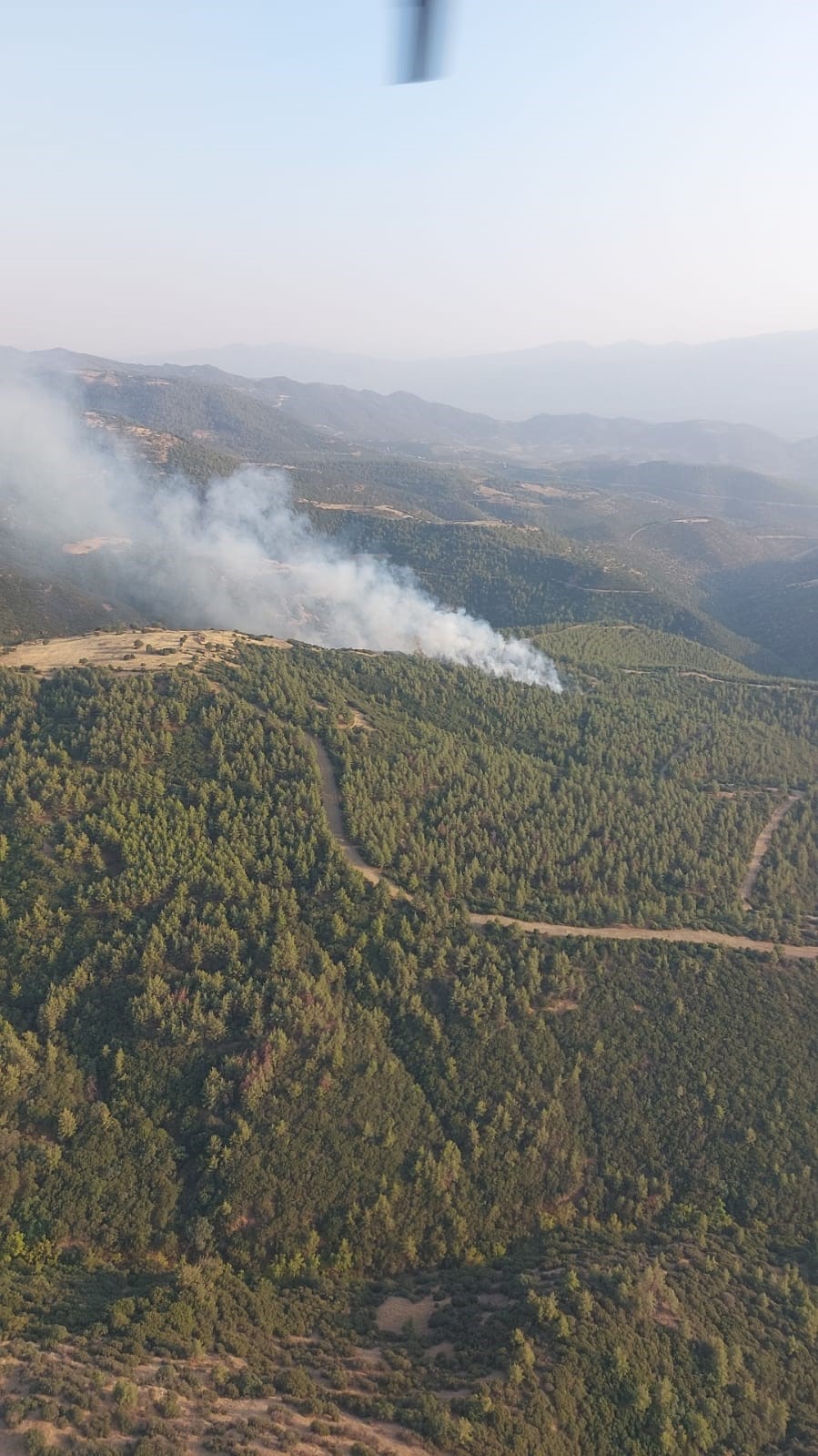 Nazilli’deki orman yangınında 3 hektar alan zarar gördü
