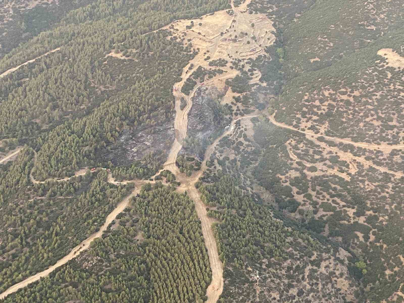 Nazilli’deki orman yangınında 3 hektar alan zarar gördü
