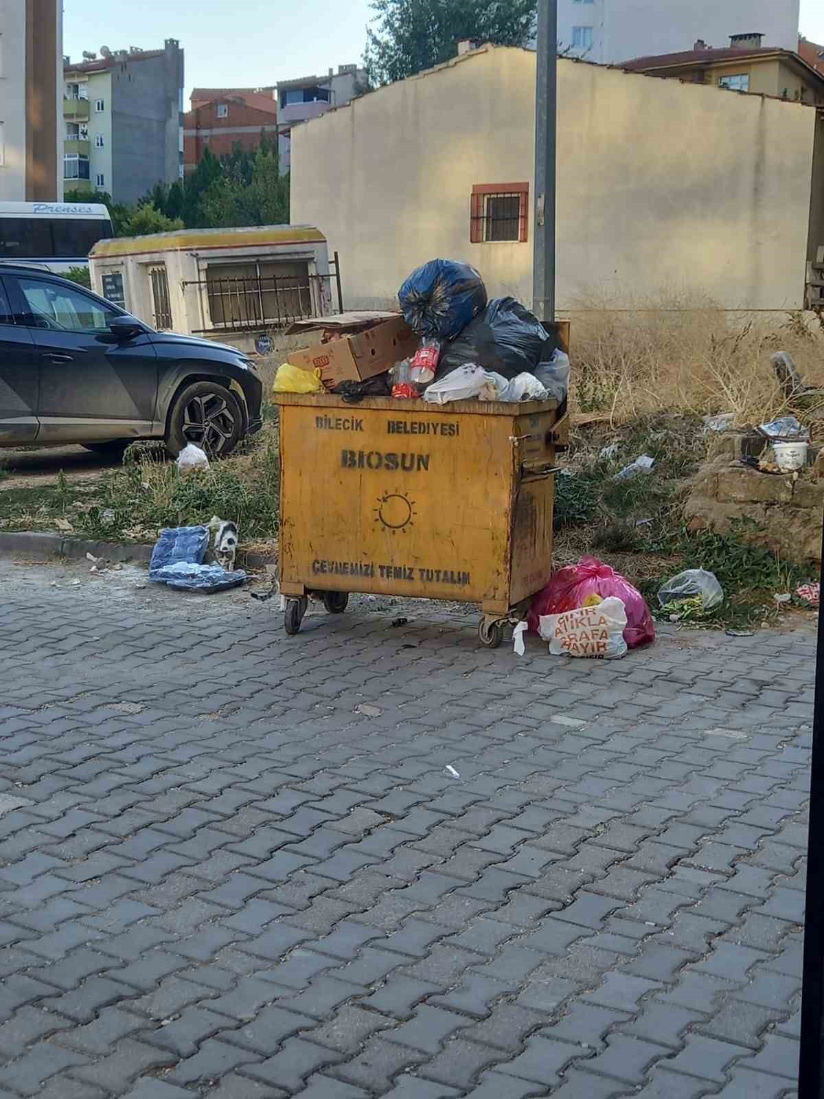 Bilecik’te toplanmayan çöpler endişe kaynağı
