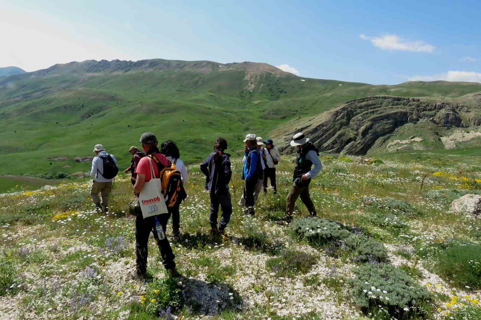 Bu bitki, dünyada sadece Tunceli’nin 2 köyünde var
