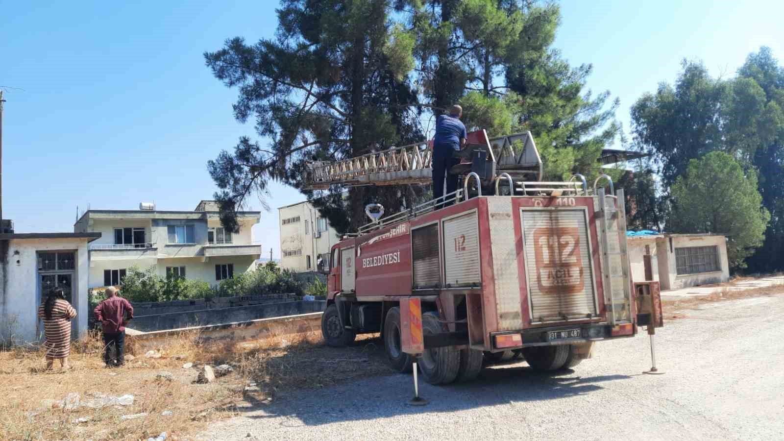 Ağaçta mahsur kalan papağanı itfaiye ekipleri kurtardı
