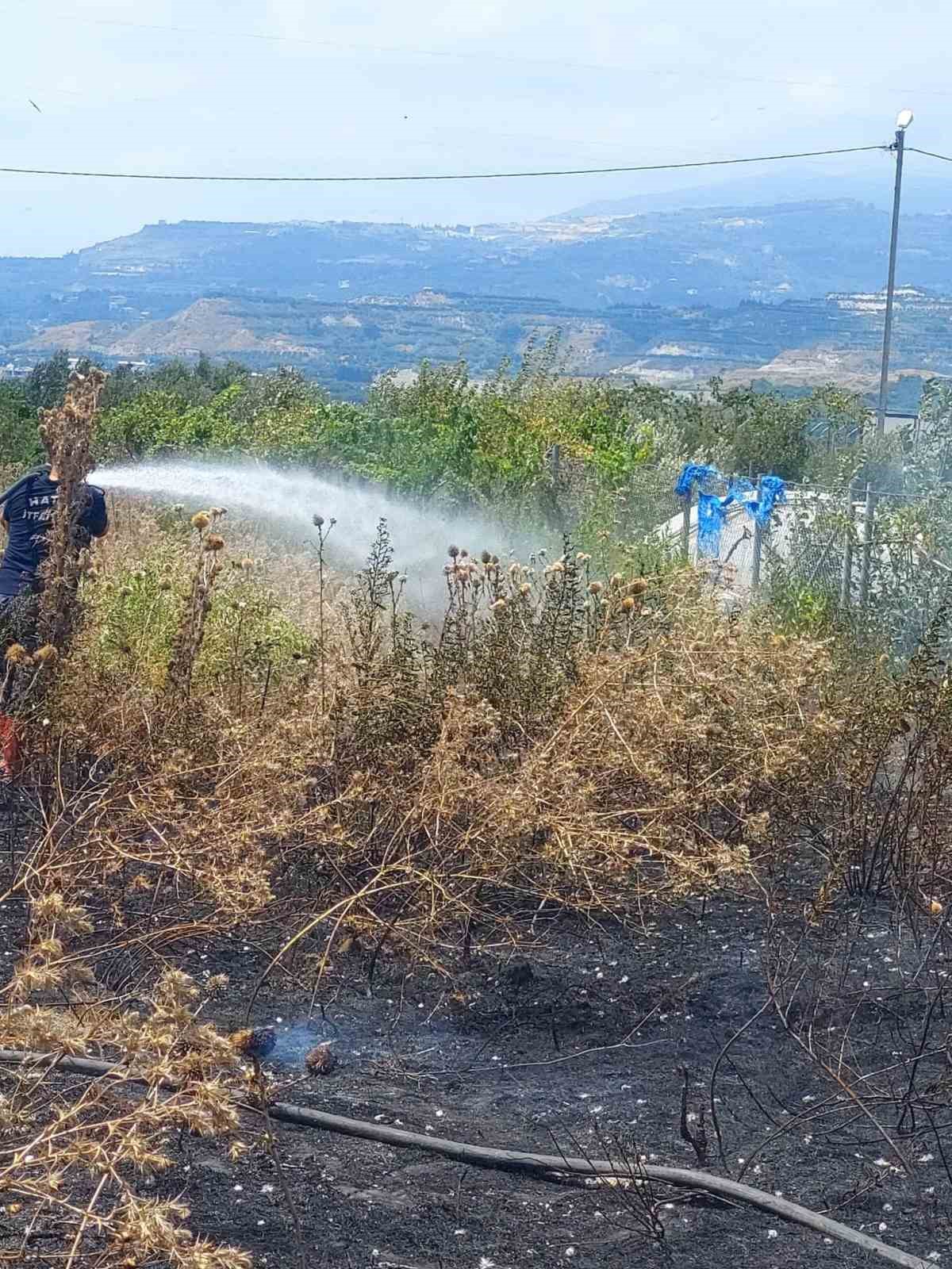 Samandağ’da çıkan çalılık yangını söndürüldü
