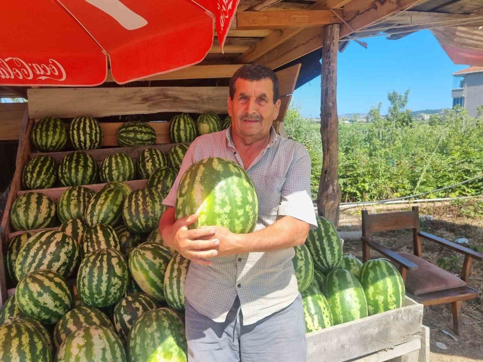 Sinoplu karpuz üreticisinin yüzü gülüyor
