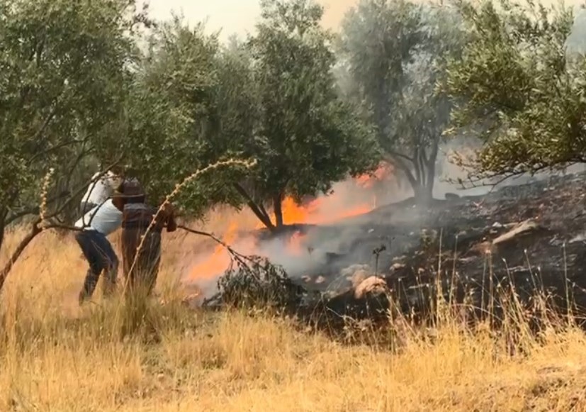 Aydın’daki yangını söndürme çalışmaları sürüyor
