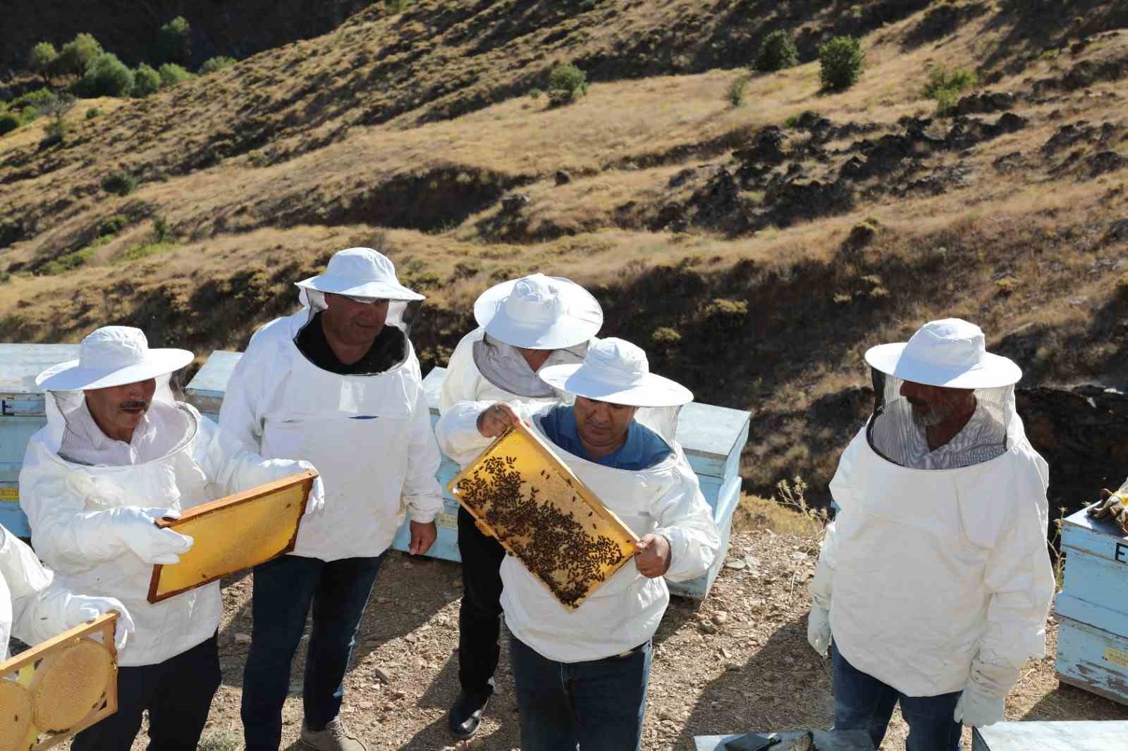 Coğrafi işaretli Geven balı hasadı başladı
