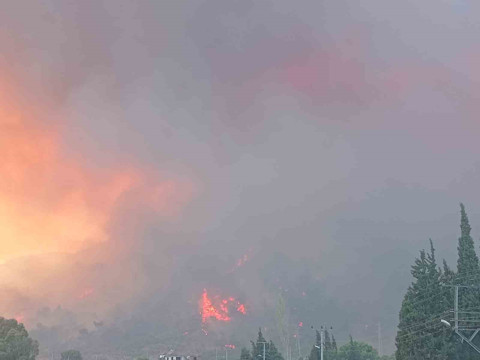 Koçarlı Belediyesi’nden orman yangınına destek
