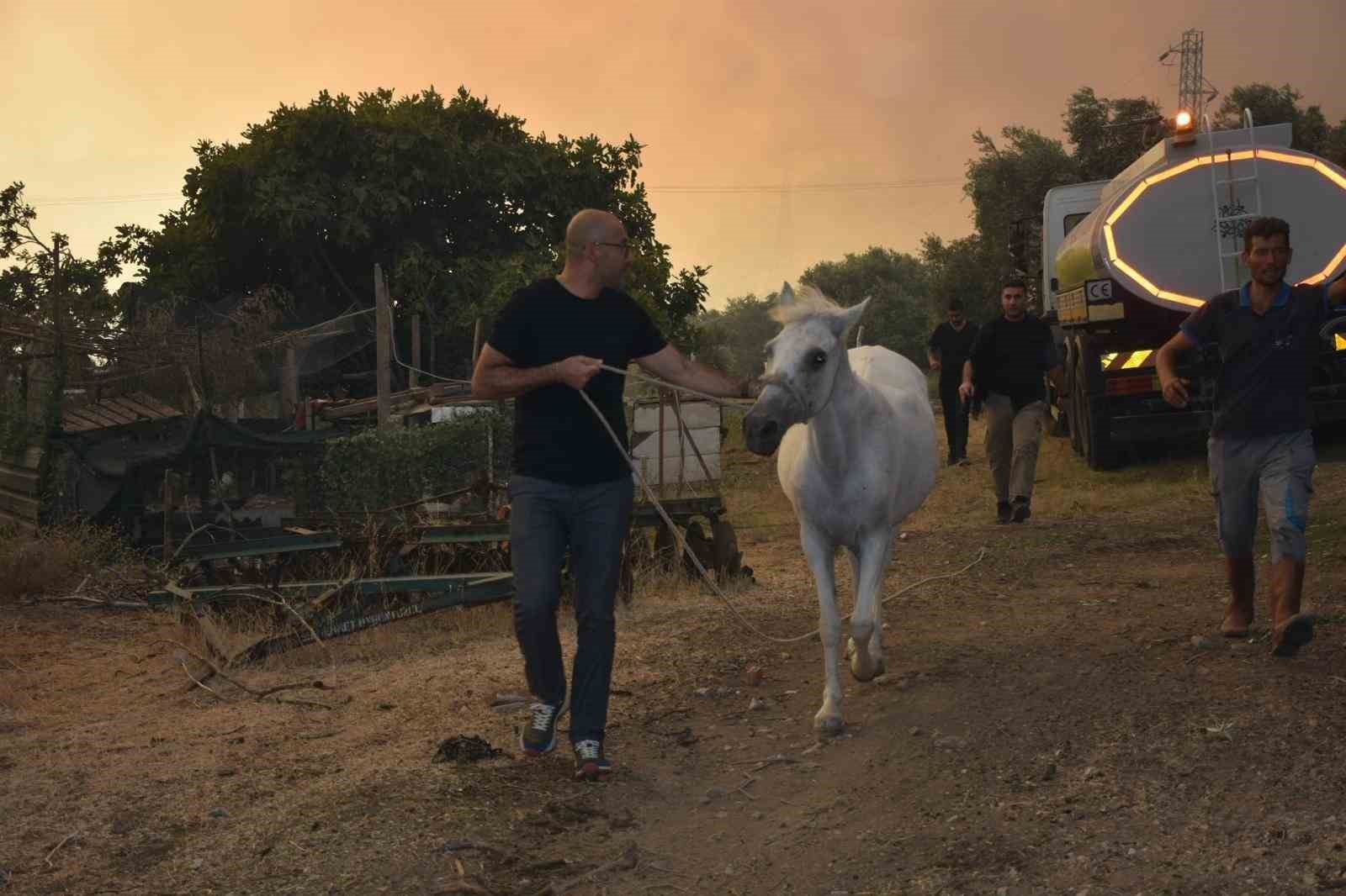 Başkan Zencirci’den yangın bölgelerinde gece mesaisi
