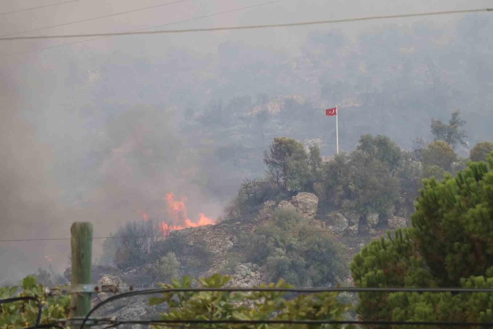 Aydın’daki orman yangınını kontrol altına alma çalışmaları devam ediyor
