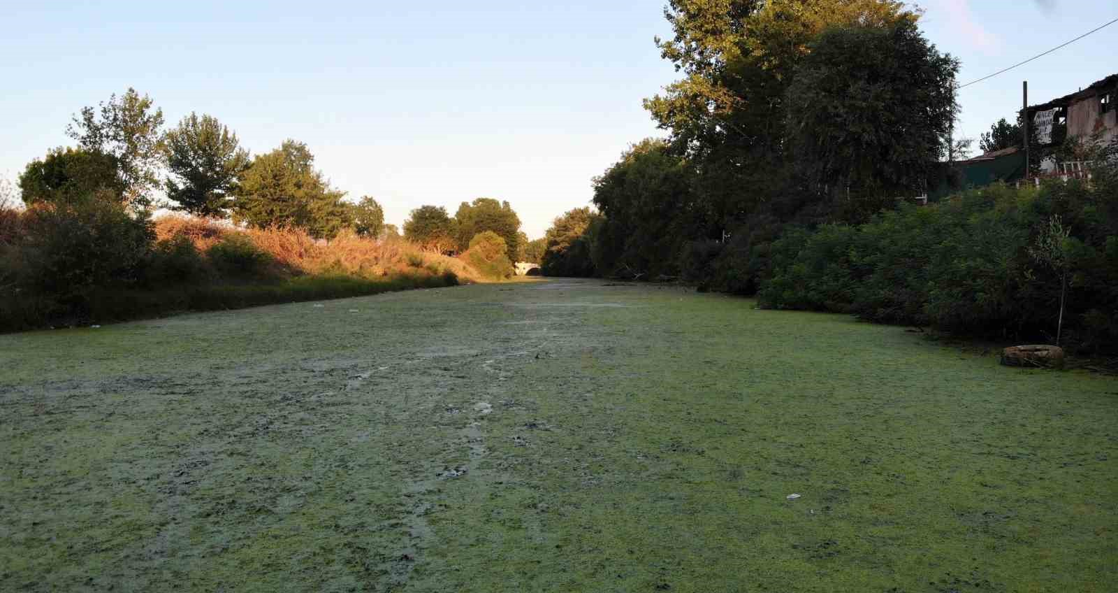 Tunca Nehri’nde kuraklık alarmı: Yolda çökmeler oluştu
